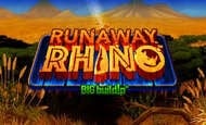 Runaway Rhino