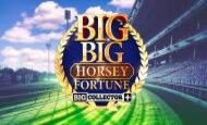 Big Big Horsey Fortune